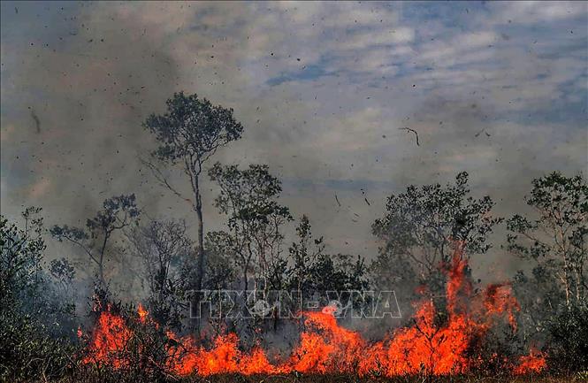 Khói lửa bốc lên tại đám cháy rừng ở Manicore, bang Amazonas, Brazil ngày 26-8-2019. Ảnh: THX/TTXVN