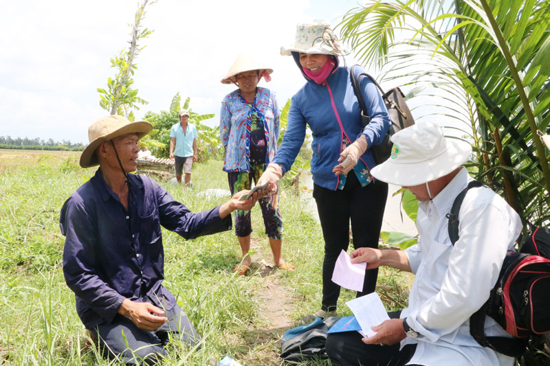 Công ty Lương thực Bến Tre thu mua lúa tươi của nông dân Ba Tri