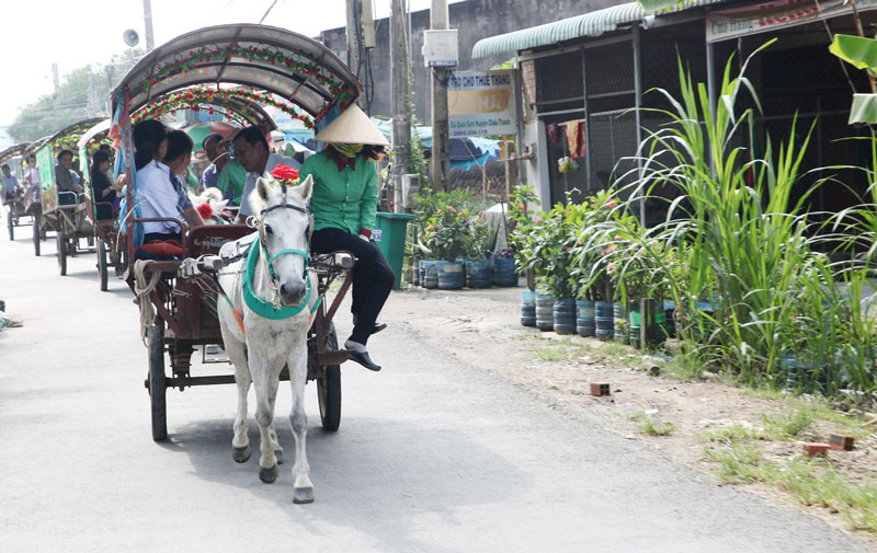 Quới Sơn phát triển du lịch hướng đến tăng thu nhập cho người dân.