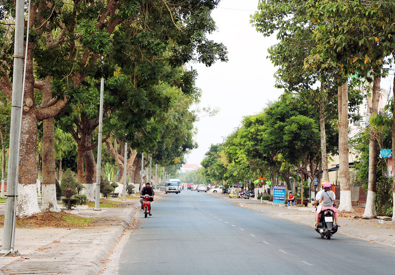 Đường Hùng Vương nối dài, thuộc Phường 7, TP. Bến Tre rợp bóng mát cây xanh. Ảnh: T.Thảo