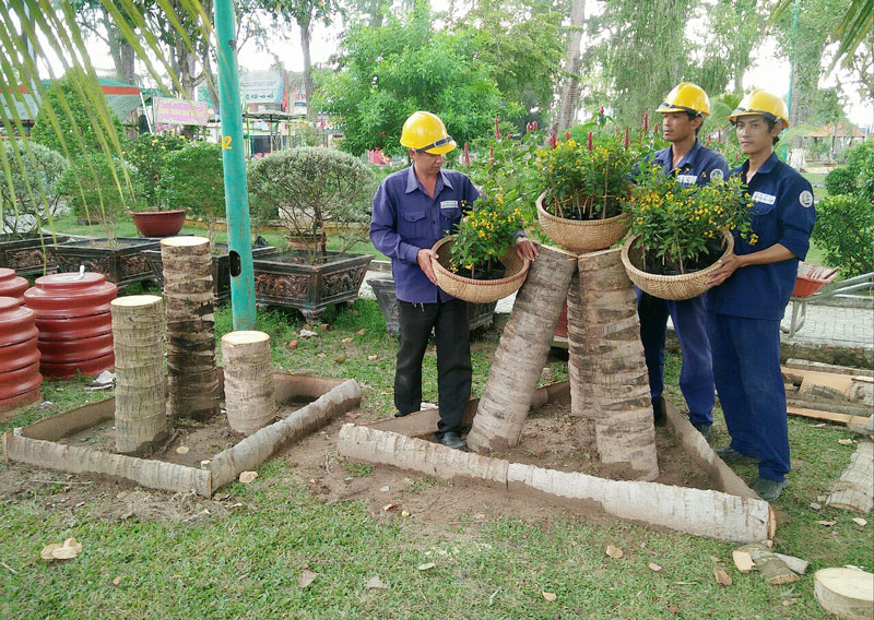 Công nhân Công ty cổ phần Công trình đô thị Bến Tre tạo cảnh cây dừa trang trí ở các vòng xoay.