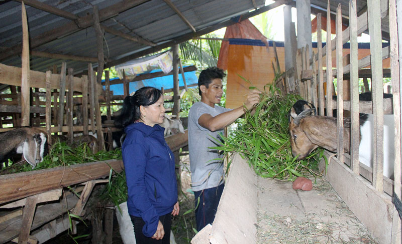 Mô hình chăn nuôi bò, dê của anh Đinh Văn Kiệp.