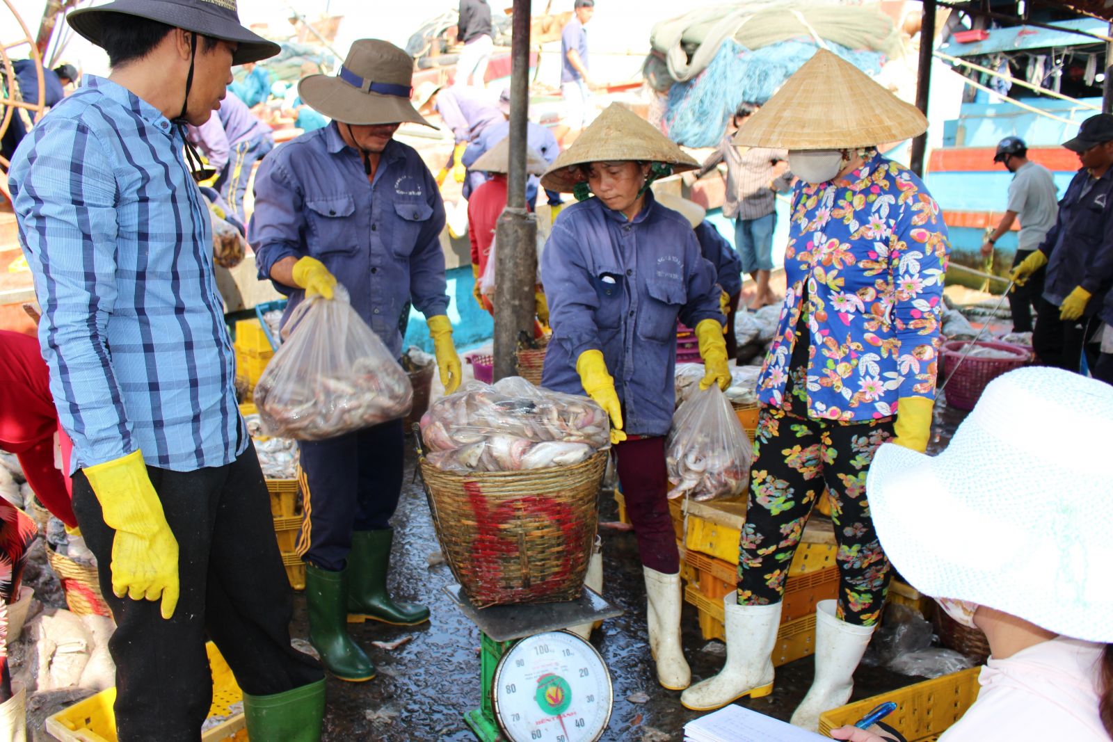 Một góc Cảng cá Bình Thắng 