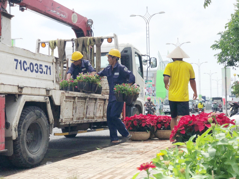 Vận chuyển hoa tươi trang trí các vòng xoay, các tuyến đường chính