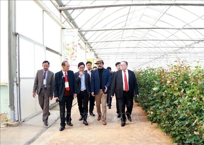 Đoàn đại biểu thăm Công ty Đà Lạt Hasfarm. 