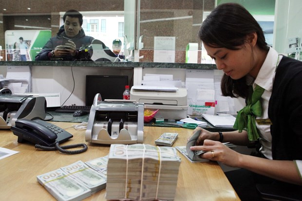 Ảnh minh họa. Ảnh: T.H/Vietnam+