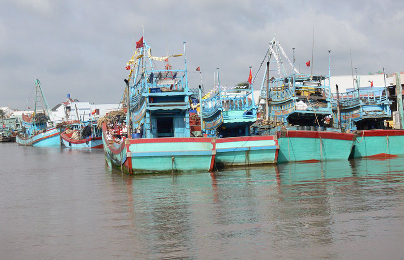 Không sử dụng tàu cá vận chuyển khách du lịch Đoàn tàu đánh bắt xa bờ về cặp cảng cá bình Thắng, huyện Bình Đại.