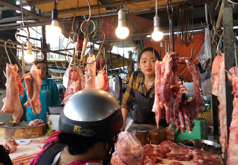 Người dân tự tái đàn khoảng 200 nghìn con heo Giá thịt heo tăng cao kỷ lục sau dịch bệnh.