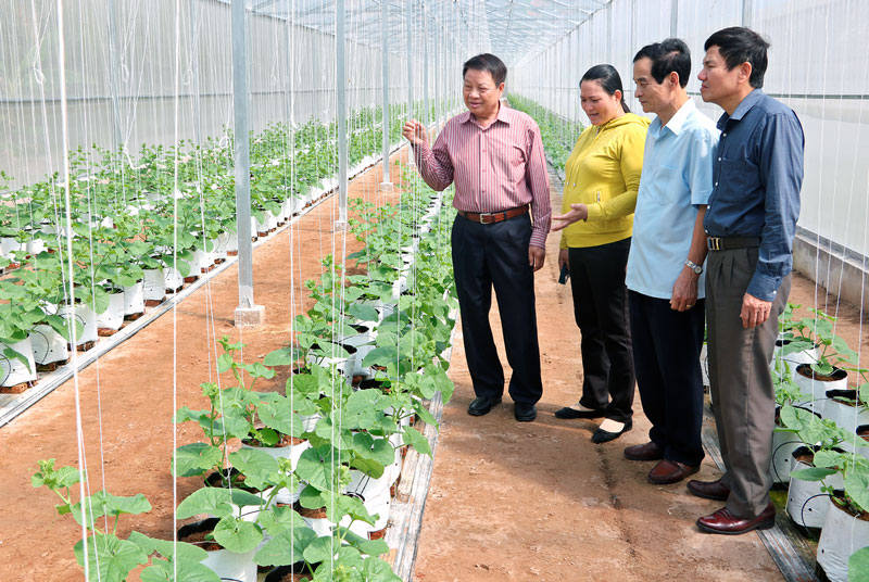 Chủ động tiếp cận cuộc cách mạng công nghiệp lần thứ 4 (kỳ 2) Tham quan mô hình nông nghiệp công nghệ cao. Ảnh: CTV
