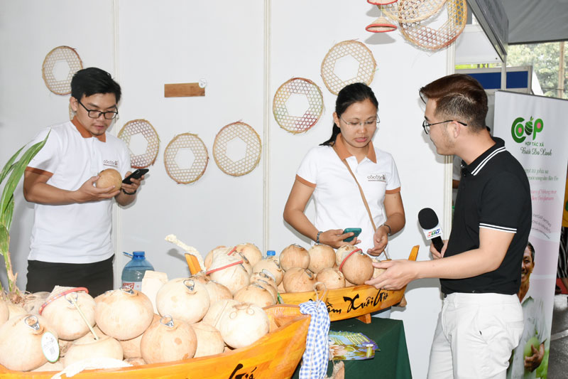 Ngành dừa tiếp tục phát triển Dừa xiêm xanh uống nước thương hiệu Coco smile phát triển thị trường trong nước và xuất khẩu.