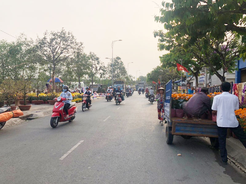 Chợ hoa xuân trên đường Hùng Vương.