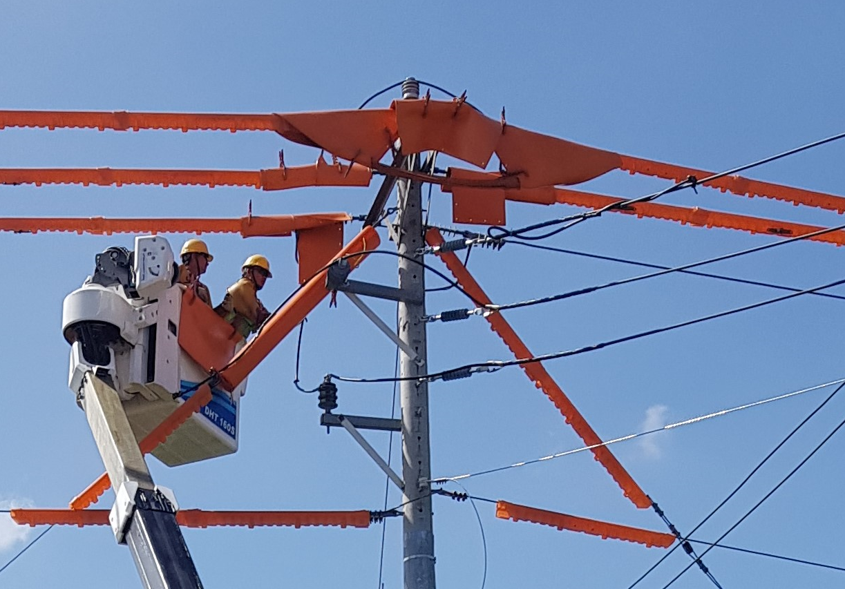 Sửa chữa lưới điện đảm bảo cấp điện Tết.