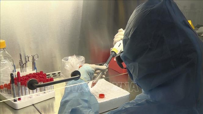 Cán bộ Trung tâm Kiểm soát bệnh tật tỉnh Điện Biên xét nghiệm các mẫu bệnh phẩm nghi ngờ nhiễm virus SARS-CoV-2. Ảnh: TTXVN
