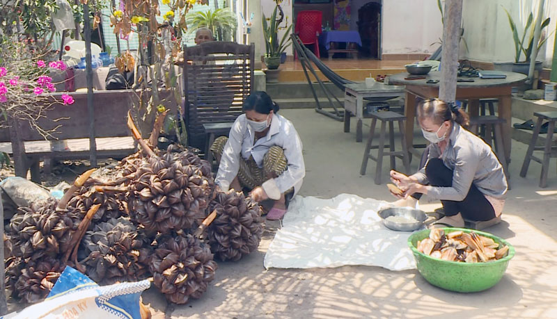 Cô Dư Thị Thanh Thúy chẻ dừa nước bán kiếm thêm thu nhập.