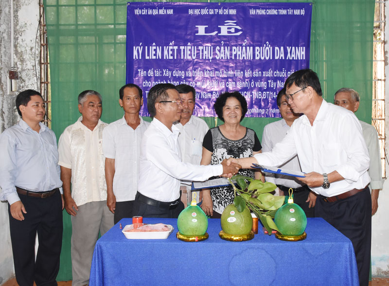 Ký kết tiêu thụ bưởi da xanh giữa đơn vị cung ứng với Hợp tác xã Bưởi da xanh Quới Sơn.