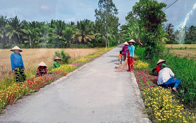 Người dân địa phương tham gia trồng cây ven đường, góp phần tạo cảnh quan môi trường.