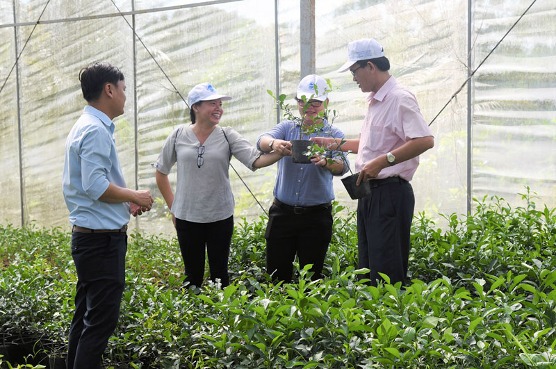 Vĩnh Thành phát triển du lịch gắn với kinh tế vườn.