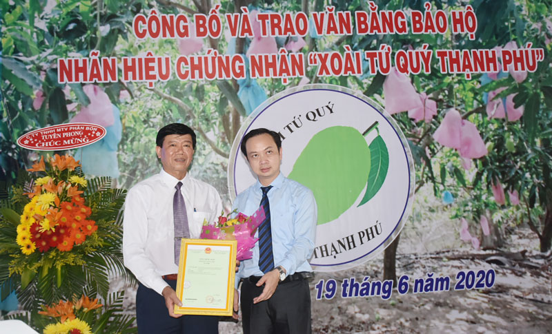 Ông Trần Giang Khuê trao văn bằng bảo hộ cho huyện Thạnh Phú.