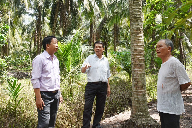 Lãnh đạo xã Châu Bình khảo sát vườn dừa của ông Ngô Văn Tĩnh (bìa phải).