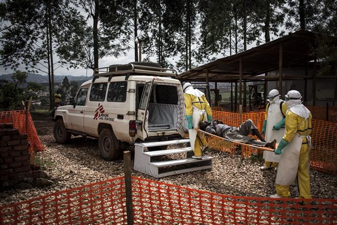  Nhân viên y tế chuyển bệnh nhân nhiễm virus Ebola lên xe cứu thương tại Butembo, CHDC Congo ngày 10-11-2018. Ảnh: AFP/TTXVN