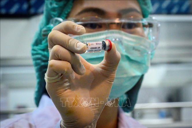 Vaccine phòng COVID-19 được phát triển tại Đại học Chulalongkorn ở Saraburi, Thái Lan ngày 23-5-2020. Ảnh: AFP/TTXVN