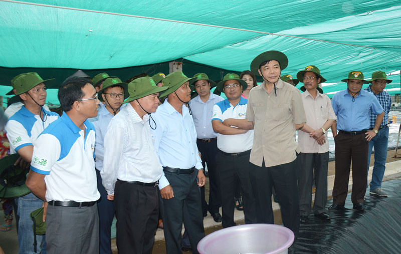 Thạnh Phú bứt phá phát triển nhanh và bền vững Lãnh đạo các cấp khảo sát mô hình nuôi tôm nhiều giai đoạn tại Thạnh Phú. Ảnh: Cẩm Trúc