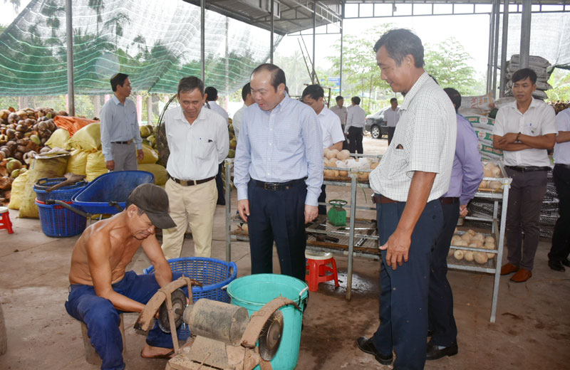 Chủ tịch Liên minh Hợp tác xã Việt Nam Nguyễn Ngọc Bảo (đứng giữa) thăm và làm việc tại Hợp tác xã dịch vụ nông nghiệp Châu Hòa.