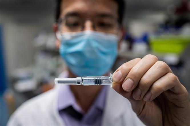 Ấn Độ trên 60.000 ca nhiễm/ngày, gấp đôi Mỹ Vaccine phòng COVID-19 được phát triển bởi công ty công nghệ sinh học Sinovac ở Bắc Kinh, Trung Quốc. Ảnh: AFP/TTXVN