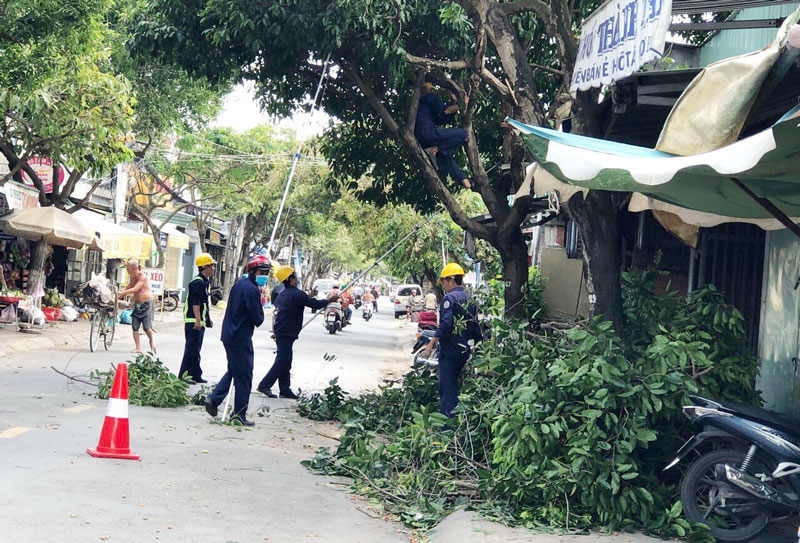 TP. Bến Tre có thêm 2 mảng xanh đô thị Công nhân mé nhánh, cành cây xanh trên đường Nguyễn Huệ. Ảnh: PV