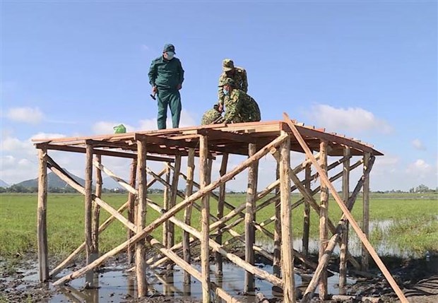Việt Nam không có ca mắc COVID-19 mới, 805 ca đã được điều trị khỏi Trong ảnh: Xây dựng chốt chống dịch COVID-19 vùng biên giới An Giang theo mô hình nhà sàn vượt lũ. (Ảnh: Thanh Sang/TTXVN)