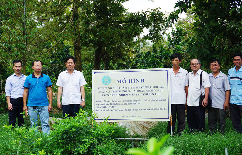 Kết quả thực hiện nhiệm vụ 9 tháng năm 2020 của Sở Khoa học và Công nghệ (kỳ 1) Kiểm tra mô hình ứng dụng chế phẩm vi sinh vật phục hồi sản xuất cây ăn trái trên đất bị nhiễm mặn. Ảnh: X. Trang