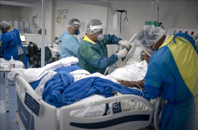 Thế giới gần 31 triệu ca bệnh Điều trị cho bệnh nhân nhiễm COVID-19 tại Rio de Janeiro, Brazil. Ảnh: AFP/TTXVN