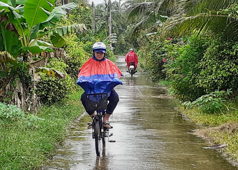 Đường về ấp Thới An, xã Châu Hòa.