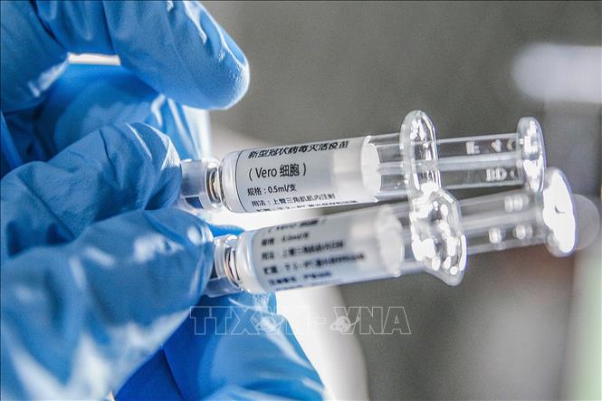 Mẫu vaccine phòng COVID-19 của Sinovac được giới thiệu tại Bắc Kinh, Trung Quốc. Ảnh: THX/TTXVN