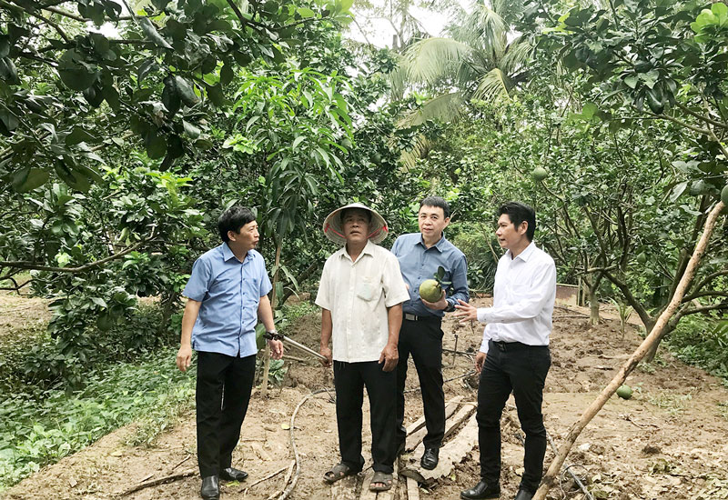 Nông dân ĐBSCL nhận Gói hỗ trợ Canh tác thuận lợi nhằm ứng phó hạn mặn và Covid-19 Nông dân Phạm Thành Tri, ấp 3, xã Sơn Đông, tỉnh Bến Tre trình bày thiệt hại của vườn bưởi trước tác động của hạn mặn và khả năng phục hồi khi nhận được sự hướng dẫn từ TT KNQG và Gói hỗ trợ canh tác thuận lợi của Bayer.
