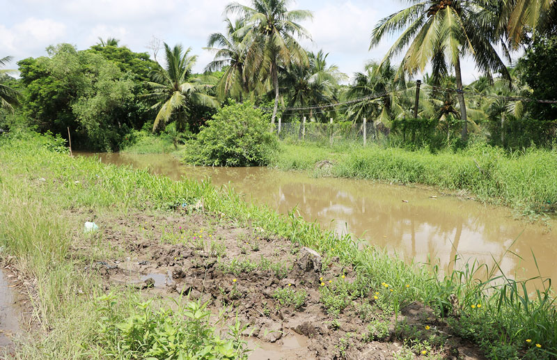 Hoàn thành nạo vét kênh Thương Phế Binh và kênh Ba Lai Một đoạn kênh Thương Phế Binh, thuộc địa bàn phường Phú tân vừa được nạo vét.