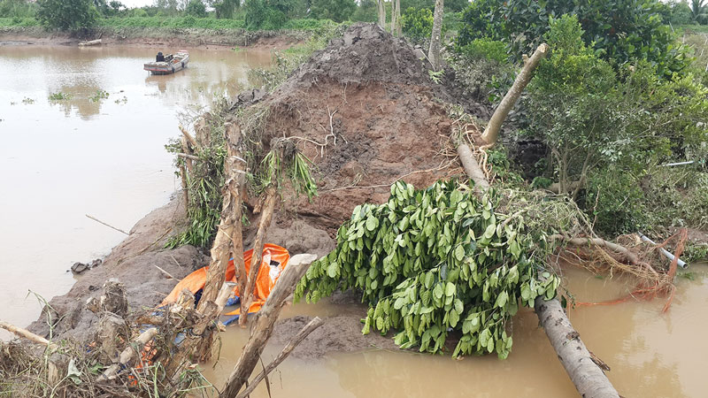 Đê bao khu vực Cồn Lát thuộc ấp Quân Bình, xã Tân Thiềng. Ảnh: Phan Hân