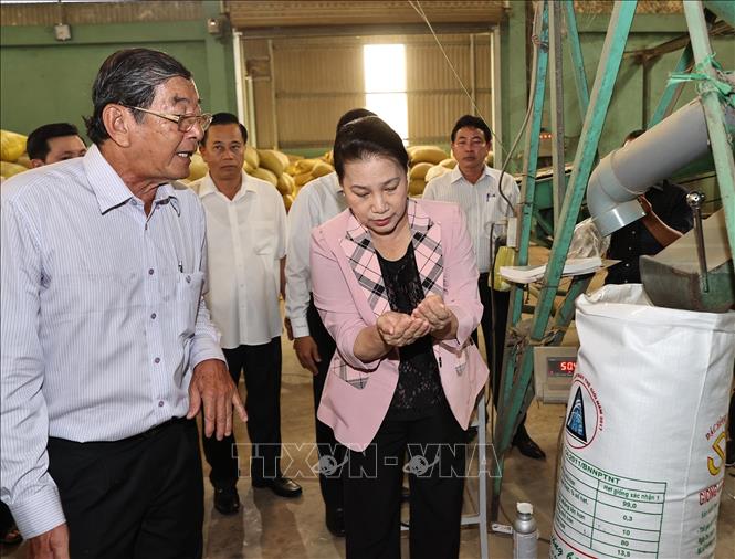 Chủ tịch Quốc hội thăm và làm việc tại tỉnh Sóc Trăng Chủ tịch Quốc hội Nguyễn Thị Kim Ngân tham quan quy trình sản xuất gạo ST25. Ảnh: Trọng Đức/TTXVN