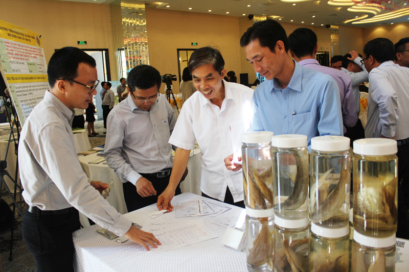 Hội nghị tổng kết khoa học công nghệ giúp phát triển bền vững vùng Tây Nam Bộ Các đại biểu tham quan các sản phẩm ứng dụng KH&CN.