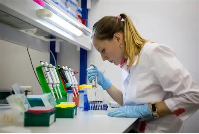 Thế giới trên 1,5 triệu người tử vong; Mỹ liên tiếp phá kỷ lục buồn Nghiên cứu vaccine ngừa COVID-19 tại Viện Nghiên cứu Dịch tễ học và vi sinh vật Gamaleya ở Moskva, Nga. Ảnh: Bloomberg/TTXVN