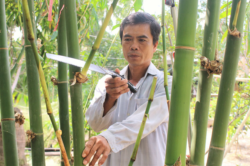 Bí thư Chi bộ, Trưởng ấp Hòa Lộc nhiệt tình trong công tác Bí thư Chi bộ - Trưởng ấp Hòa Lộc Lê Văn Thống.