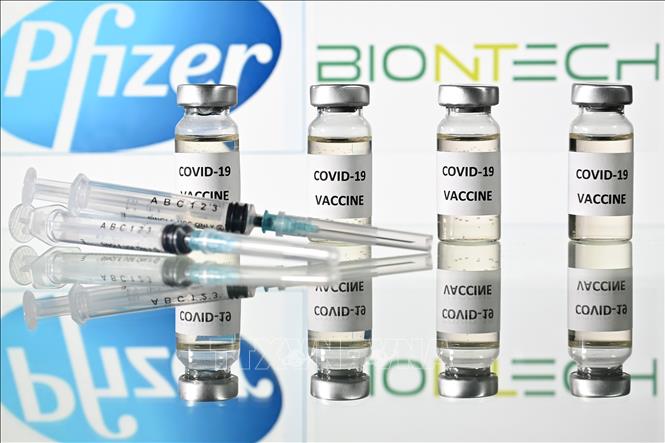 Thế giới vượt 95 triệu ca bệnh; Ấn Độ gặp trục trặc trong tiêm chủng toàn quốc Vaccine ngừa COVID-19 của hãng dược Pfizer. Ảnh: AFP/TTXVN