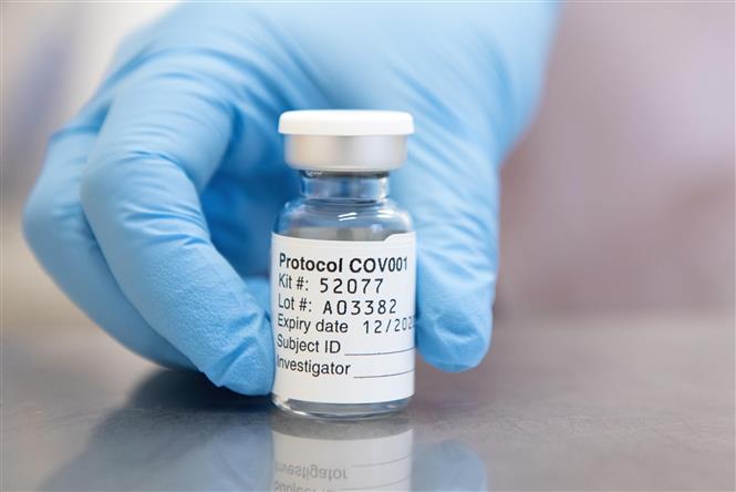 Vaccine phòng COVID-19 do công ty dược phẩm AstraZeneca và Đại học Oxford phối hợp phát triển. Ảnh: AFP/ TTXVN