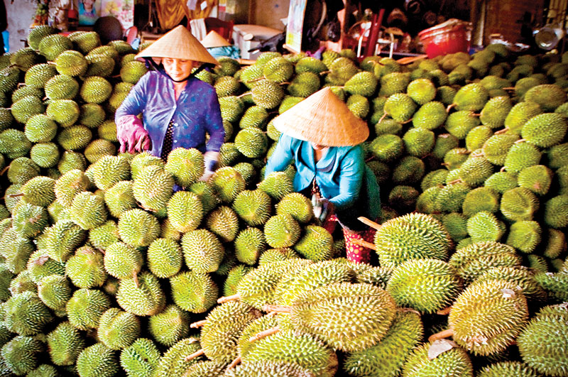 OCOP đã thúc đẩy phát triển hàng nông sản của địa phương. Ảnh: Nguyễn Dừa