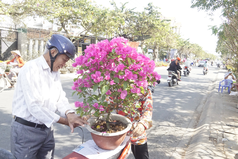 Có ít khách đến mua hoa tại Chợ hoa Tết.