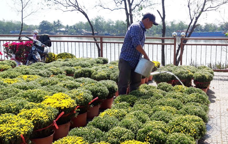 Mỏ Cày Bắc quyết tâm bứt phá chuyển đổi số Người dân huyện Mỏ Cày Bắc tham gia kinh doanh hoa kiểng tại Hội hoa xuân Tân Sửu 2021.