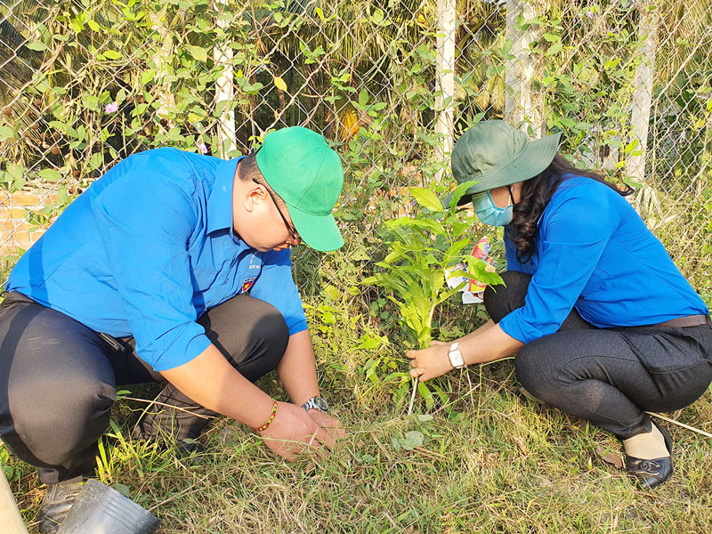 Đoàn viên, thanh niên Huyện Đoàn Mỏ Cày Bắc trồng cây xanh trên các tuyến đường giao thông nông thôn trong Tháng Thanh niên 2021.