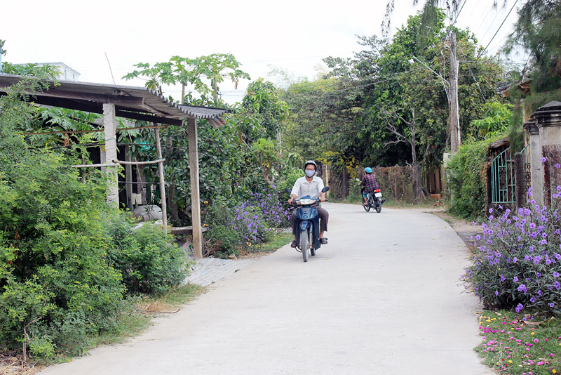 Đường nông thôn ấp Phú Long, xã Phước Ngãi.