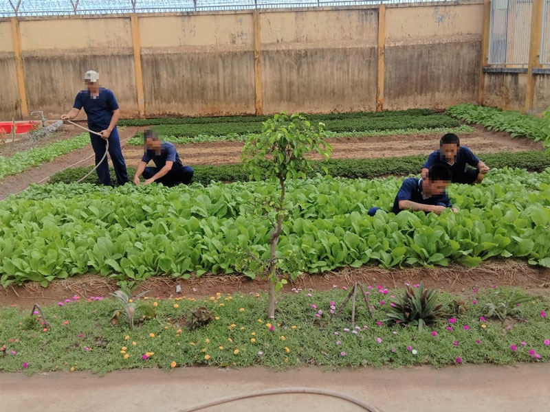 Người cai nghiện tham gia lao động, sản xuất tại Cơ sở cai nghiện ma túy tỉnh. Ảnh: H. Đức