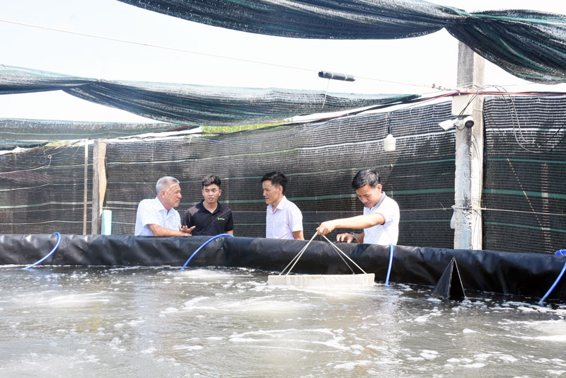 Người dân Việt thành công rực rỡ nhờ mô hình nuôi tôm bền vững
